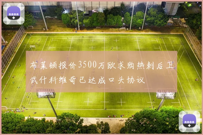布莱顿报价3500万欧求购热刺后卫武什科维奇已达成口头协议